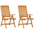 Folding Garden Chairs 2 pcs Solid Wood Eucalyptus