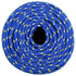 Boat Rope Blue 10 mm 25 m Polypropylene