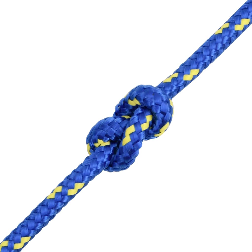 Boat Rope Blue 10 mm 25 m Polypropylene