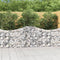 Arched Gabion Baskets 6 pcs 200x30x80/100 cm Galvanised Iron