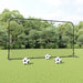 Football Rebounder Net Black 366x90x183 cm HDPE