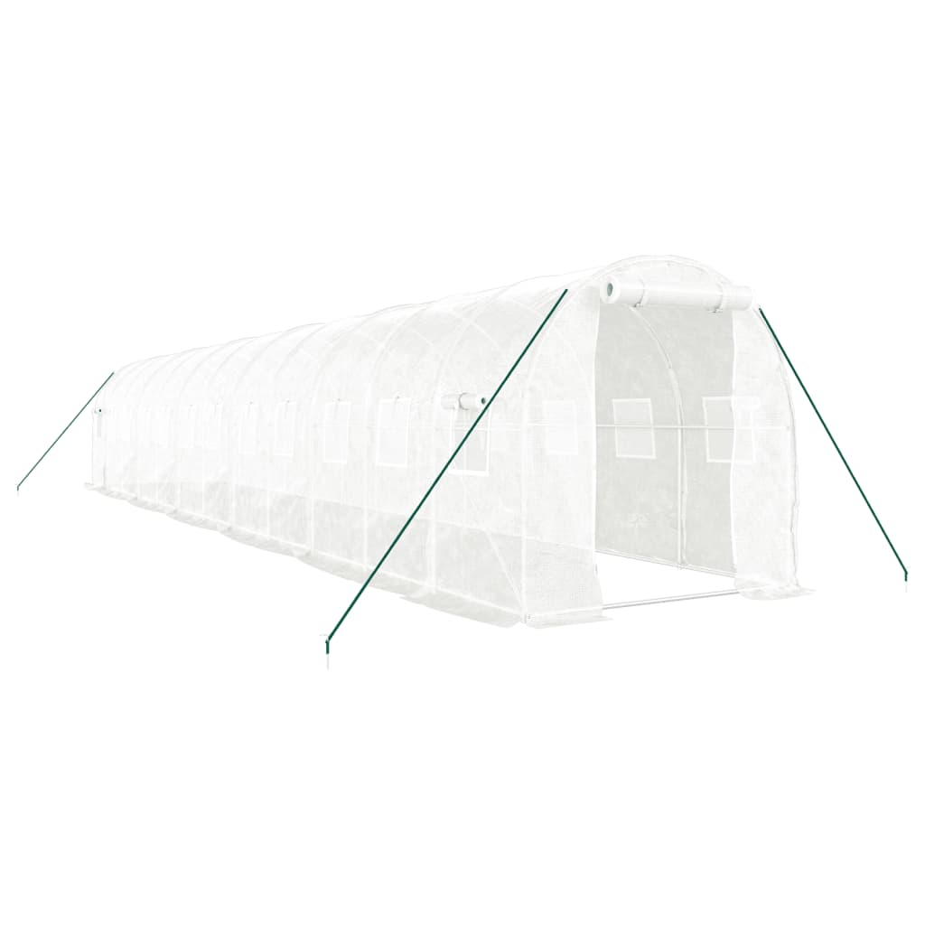 Greenhouse with Steel Frame White 24 m² 12x2x2 m