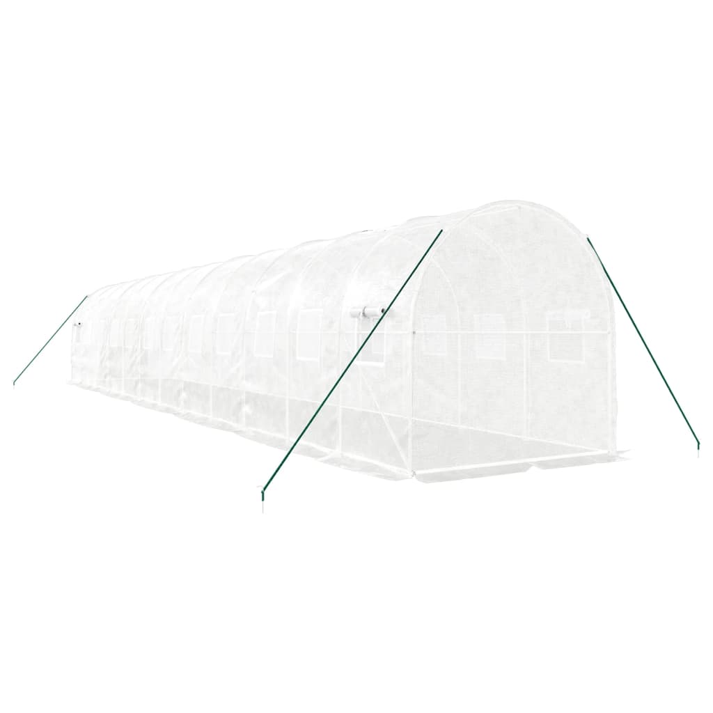 Greenhouse with Steel Frame White 24 m² 12x2x2 m