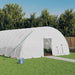 Greenhouse with Steel Frame White 72 m² 12x6x2.85 m