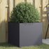 Planter Anthracite 49x47x46 cm Steel