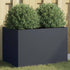 Planter Anthracite 62x40x39 cm Cold-rolled Steel