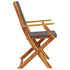 Folding Garden Chairs 4 pcs Anthracite Fabric and Solid Wood