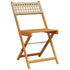 Folding Garden Chairs 4 pcs Beige Poly Rattan and Solid Wood