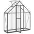 Greenhouse with Base Frame Anthracite 169x58x195 cm Aluminium