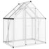 Greenhouse with Base Frame Silver 169x114x195 cm Aluminium