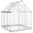 Greenhouse with Base Frame Silver 169x169x202 cm Aluminium