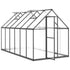 Greenhouse with Base Frame Anthracite 334x169x195 cm Aluminium