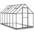 Greenhouse with Base Frame Anthracite 334x169x202 cm Aluminium