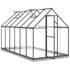 Greenhouse with Base Frame Anthracite 334x169x202 cm Aluminium