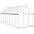 Greenhouse with Base Frame Silver 445x169x195 cm Aluminium