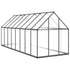 Greenhouse with Base Frame Anthracite 445x169x195 cm Aluminium