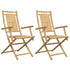 Folding Garden Chairs 2 pcs 53x66x99 cm Bamboo