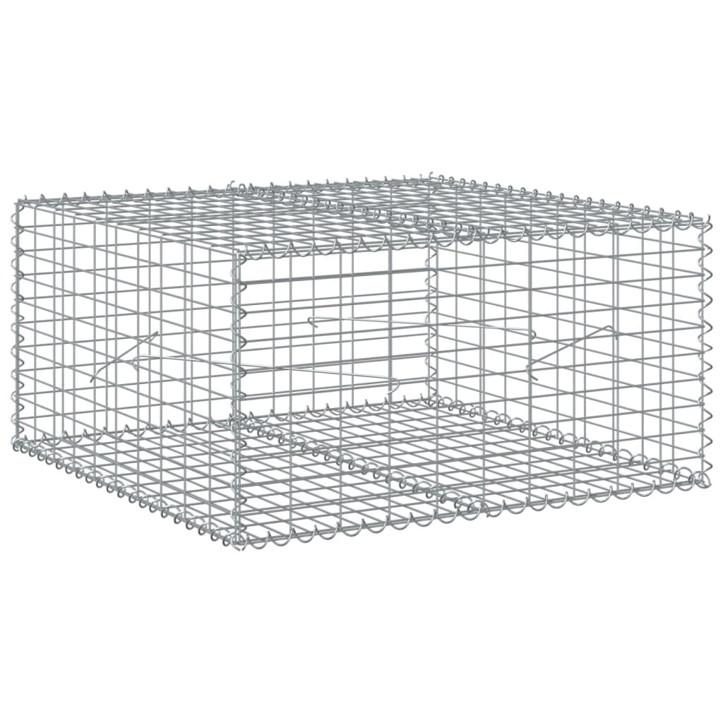 Gabion Basket with Cover 100x100x50 cm Galvanised Iron