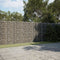 Gabion Basket with Cover 450x100x200 cm Galvanised Iron