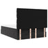 Ottoman Bed with Mattresses & LEDs Black Double Velvet