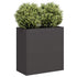 Planter Black 80x40x80 cm Cold-rolled Steel