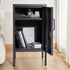 Artiss Bedside Table Metal Cabinet - Black