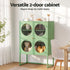 2x Buffet Sideboard Cabinet ELLA Cupboard Storage Glass Doors Metal Green