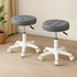 Levede 2x Rolling Bar Stool Swivel Salon SPA Chair Grey-2018816801848299527