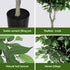 180cm Artificial Ficus Tree Faux Trees Indoor Decor Artificial Plants Lifelike Plant 1.8M