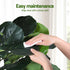 150cm Artificial Fiddle Tree Faux Trees Indoor Decor Artificial Plants Lifelike Plant 1.5M