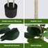 150cm Artificial Fiddle Tree Faux Trees Indoor Decor Artificial Plants Lifelike Plant 1.5M