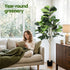 180cm Artificial Fiddle Tree Faux Trees Indoor Decor Artificial Plants Lifelike Plant 1.8M