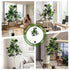 180cm Artificial Fiddle Tree Faux Trees Indoor Decor Artificial Plants Lifelike Plant 1.8M