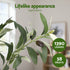 210cm Artificial Olive Tree Faux Trees Indoor Decor Artificial Plants Lifelike Plant 2.1M