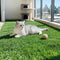 Prime Turf Artificial Grass Turf Rug Fake Grass 2 Rolls 15mm Height 50cm x 2m Indoor Outdoor Synthetic Grass Mat Carpet with Drainage Holes Plastic Plant