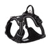 True Love No Pull Explosion Proof Dog Harness - Black, M-1831155631894171650