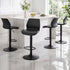 Artiss 4x Bar Stools Counter Chair Gas Lift Kitchen Extra Higher Back PP Black