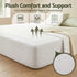 Compression Bed Frame Queen Size No Assembly Vacuum High Density Sponge Boucle Cream White