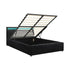 Bed Frame RGB LED Queen Size Gas Lift Storage Base Black