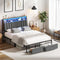 Oikiture Bed Frame Queen LED Storage Drawer Charging Station Grey Metal