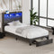 Oikiture King Single Bed Frame – LED Headboard w/ USB/AC Charging & Drawers (Grey)