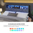 Bed Frame with LED Storage Bedhead Double Size NOVI