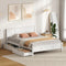 Oikiture Double Wooden Bed Frame with 2 Drawers White