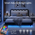 Artiss Queen Floating Bed Frame RGB LED Lights USB-C Charging Wooden Slats Black