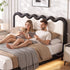 Artiss Queen Floating Bed Frame RGB LED Lights USB-C Charging Wooden Slats Black