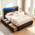 Bed Frame Double Size LED with 4 Drawers Black DUNN