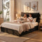 Queen Gas Lift Bed Frame Black Velvet LED USB Type-C Storage Upholstered