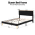 Queen Bed Frame Upholstered Adjustable Headboard Mood Lighting Heavy Duty Black Velvet