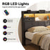 Artiss Queen Bed Frame with Storage Drawers & Headboard, 2 Drawer, USB, LED