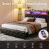 Queen Bed Frame with LED Lights and Storage Headboard Charging Station